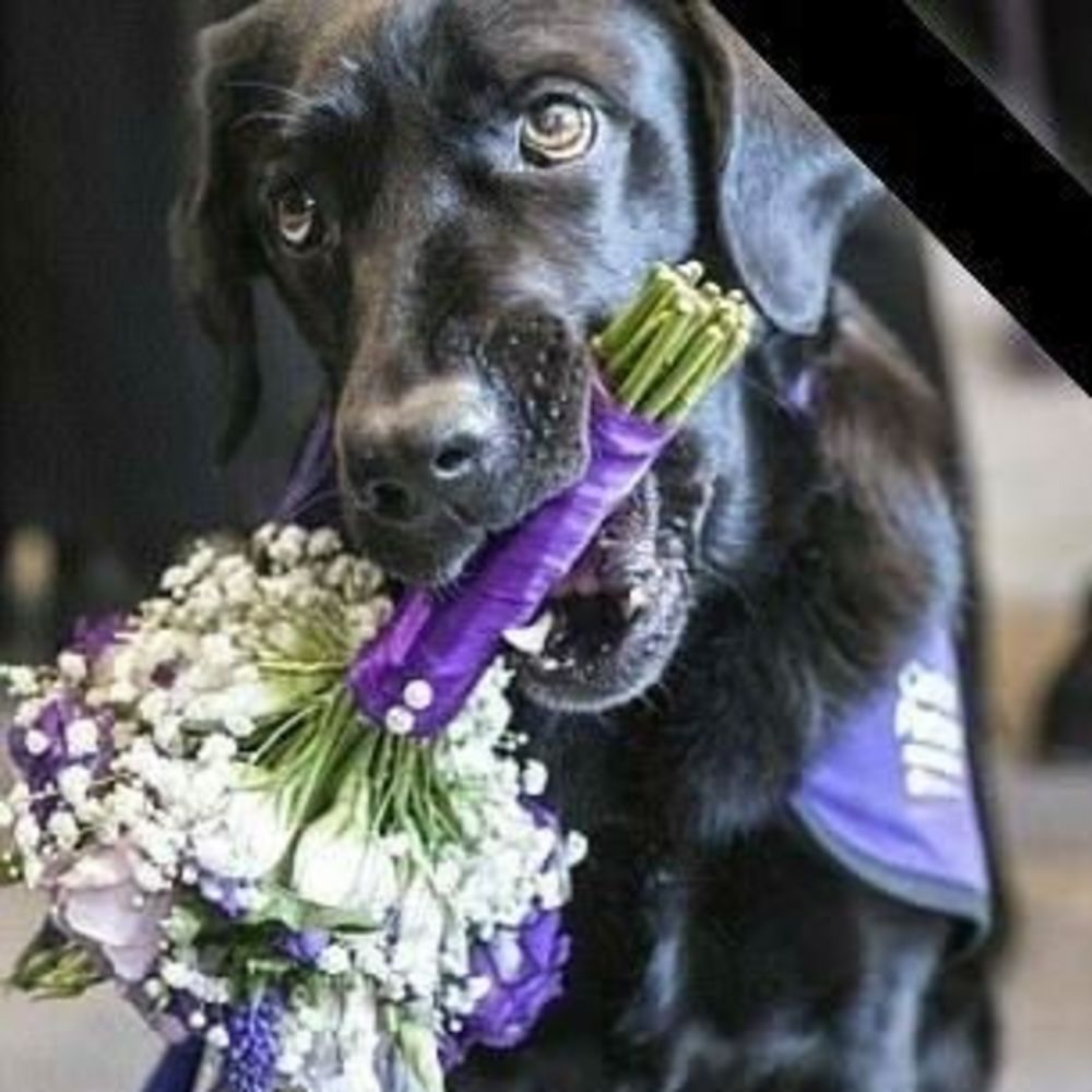 Meet your Posher, Connie